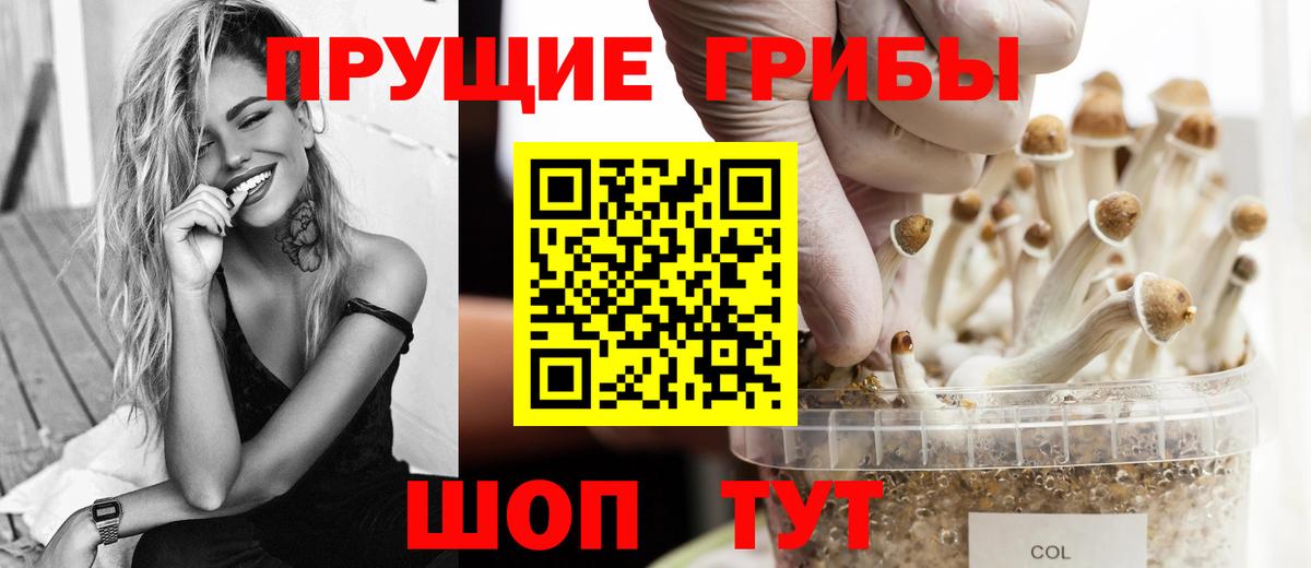Псилоцибиновые грибы ЛСД Дивногорск